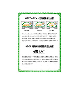 廊坊大笨象榮譽(yù)資質(zhì)