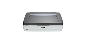 重慶12000XL